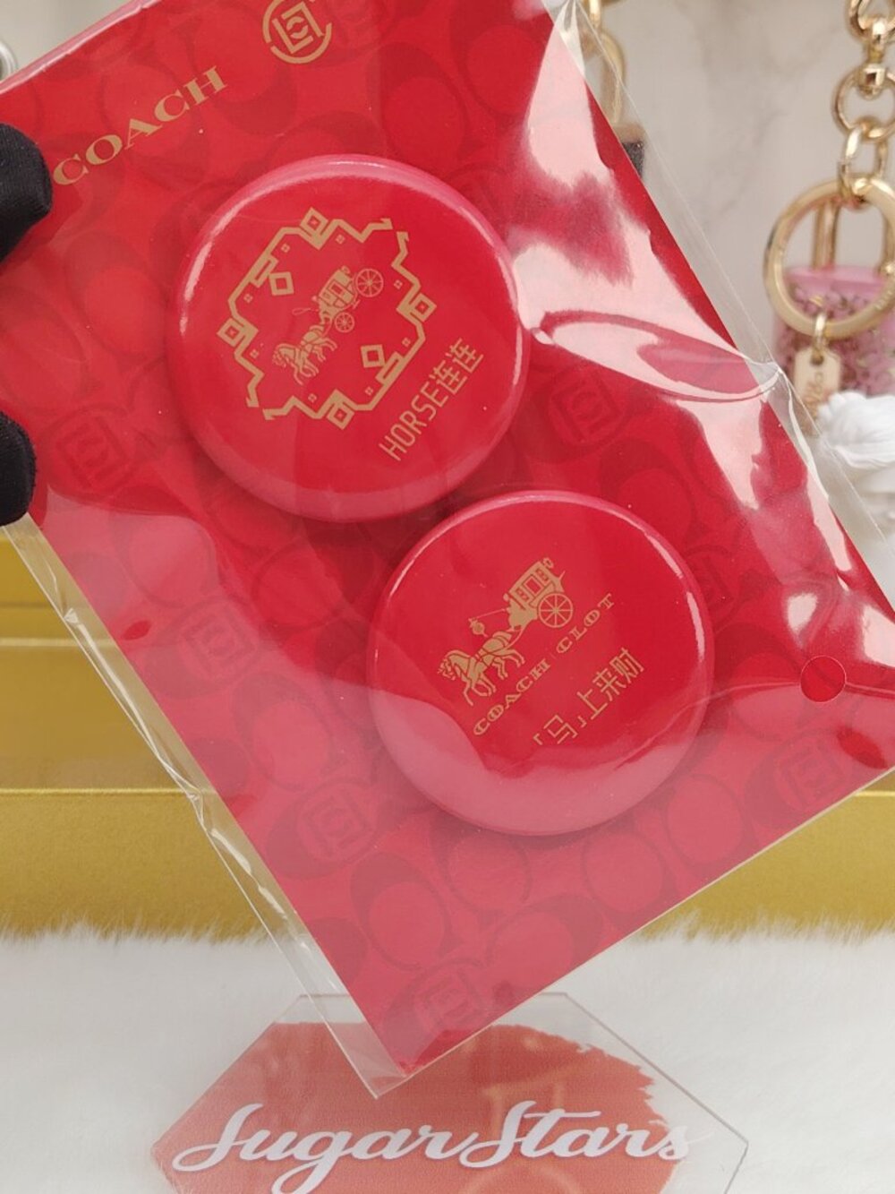 Coach brooch pins
